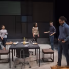 BWW Review: SMART PEOPLE at Writers Theatre