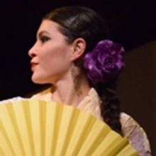 Flamenco Fiesta Comes to Teatro Paraguas