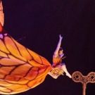 BWW Review: CIRQUE DU SOLEIL LUZIA at Tyson's