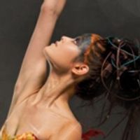 BWW Preview: THE FIREBIRD AND LA SYLPHIDE at Symphony Hall Photo
