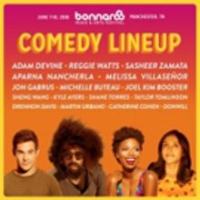 Bonnaroo Announces 2018 Comedy Lineup