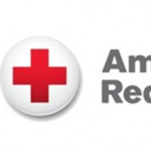 Over 20 Ways to Safely Cook and Travel this Thanksgiving