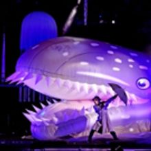 B-THE UNDERWATER BUBBLE SHOW Returns To The Lincoln