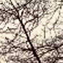 Pale Horse Craft Presents World Premiere Of TO RICHARD!