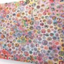 Opening Reception For Nobu Fukui - PARDISE Announced