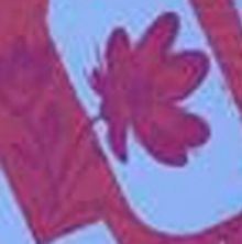 THE COLOR PURPLE To Open At The Armory Next Month