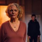 BWW Review: VINCENT RIVER, Park Theatre