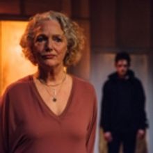 BWW Review: VINCENT RIVER, Park Theatre