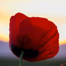New York Choral Society Commemorates Anniversary Of End Of WWI & Kristallnacht