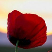 New York Choral Society Commemorates Anniversary Of End Of WWI & Kristallnacht