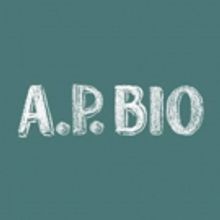 NBC Renews A.P. BIO For Second Season