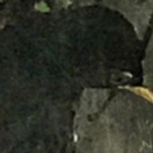 Addison Janney's Newest Play, YES BUT I HAVE TO, Premiers At Hard Bargain Amphitheate