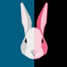 Baltimore Center Stage To Present WHITE RABBIT RED RABBIT