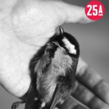 BWW REVIEW: EXTINCTION OF THE LEARNED RESPONSE Considers The Ethics Of The Manipulati