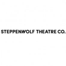 Steppenwolf Education & Senn High Senior Ensemble Present WHAT IF?