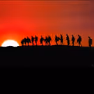 WWTNS? Return To HERE For SOURCES OF LIGHT OTHER THAN THE SUN