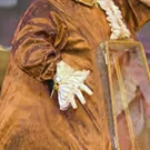 BWW Review: DISNEY BEAUTY AND THE BEAST at Candlelight Music Theatre