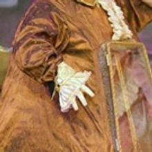 BWW Review: DISNEY BEAUTY AND THE BEAST at Candlelight Music Theatre