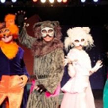 THE CATS Comes to Teatro Municipal Joaquimbenite 3/2 - 3/5