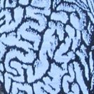 Art Gallery Exhibit At The Jewish Community Center Presents THOUGHTS ALONG THE WAY