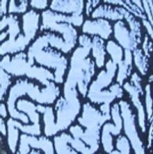 Art Gallery Exhibit At The Jewish Community Center Presents THOUGHTS ALONG THE WAY