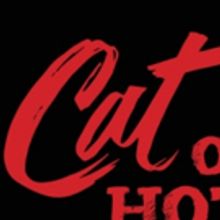 Andrea Lynn Green And Michael Raver To Lead MTC Mainstage's CAT ON A HOT TIN ROOF