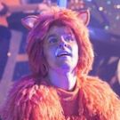Guest Blog: Theatr Clwyd's Tamara Harvey Defends Panto