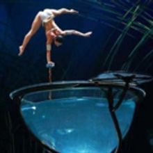 BWW Review: CIRQUE DU SOLEIL'S AMALUNA at The Grand Chapiteau At Lone Star Park