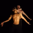 BWW Review: JOSHUA BEAMISH's Saudade at BAM
