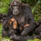 NATIONAL GEOGRAPHIC LIVE! Comes to the Broad Stage