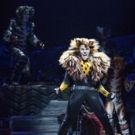 Service Dog Runs Amok During CATS Opening Number!