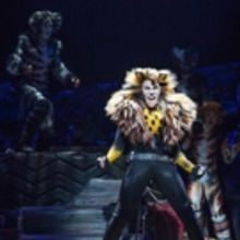 Service Dog Runs Amok During CATS Opening Number!