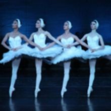 Moscow Festival Ballet Presents SWAN LAKE