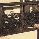 Auditorium Theatre Restores Original Louis Sullivan Stencils