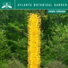 Chihuly Sculpture Lands Permanent Home In Garden