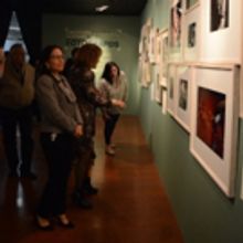 El MAM Presenta Lo Mejor De Lo Mejor: Lidia Camacho