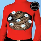 The Wombats Release Extended Version of Album 'Beautiful People Will Ruin Your Life'