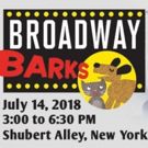 Stars From MEAN GIRLS, THE BAND'S VISIT, DEAR EVAN HANSEN, and More to Attend…