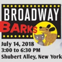 Stars From MEAN GIRLS, THE BAND'S VISIT, DEAR EVAN HANSEN, and More to Attend Broadwa