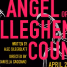New Wave Theater Collective Presents Alec Silberblatt's THE ANGEL OF ALLEGHENY COUNTY