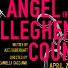 New Wave Theater Collective Presents Alec Silberblatt's THE ANGEL OF ALLEGHENY COUNTY