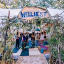 Elements Music & Arts Festival Reveals Activities and Wellness Programming