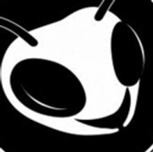 Planet Ant Says Goodbye To Toxic Masculinity In WHO RUN THE WORLD