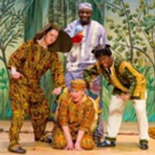 Wild Swan Theater Presents UNDER THE AFRICAN SKY