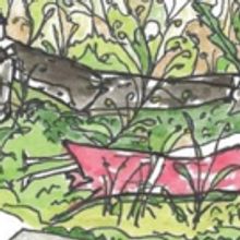 Planet Ant to Present Staged Reading of the Original 'Zine STUPOR