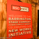 Photo Coverage: Barrington Stage Company Announces $125,000 Raised at BSC/NYC Benefit