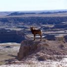 Smithsonian Channel Premieres AMERICA'S BADLANDS, 12/20
