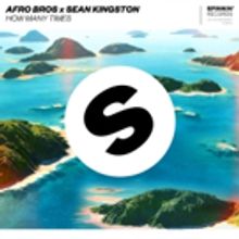 Afro Bros & Sean Kingston Deliver Summer Cross-Genre Track HOW MANY TIMES
