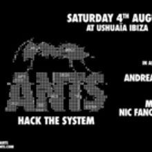 ANTS Announce BBC Radio 1 Dance Stage Led by Pete Tong with Andrea Oliva, CamelPhat, Maya Jane Coles + More