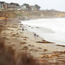 Visit Cambria for an Off-Season Extended-Stay Getaway
